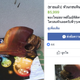 A Thai facebook post advertising a hornbill head